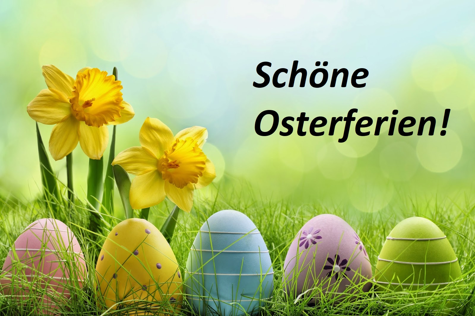 Read more about the article Osterferien (Trainingspause)