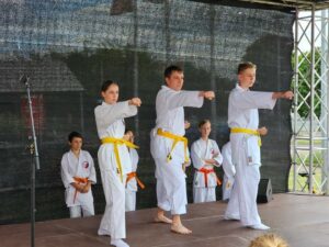 FB_IMG_1688239896137